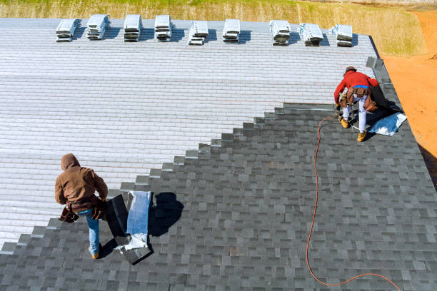 Best Metal Roofing Contractor  in Gifford, FL